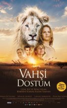 Vahşi Dostum Full izle