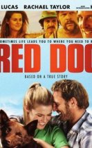 Red Dog-Seyret