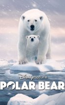 Polar Bear -Seyret