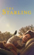 The Starling-Seyret