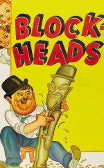 Block-Heads -Seyret