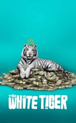 The White Tiger -Seyret