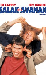 Dumb and Dumber-Seyret