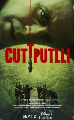 Cuttputlli-Seyret