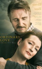 Ordinary Love -Seyret