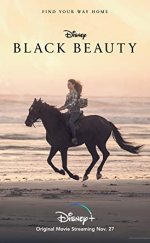 Black Beauty-Seyret