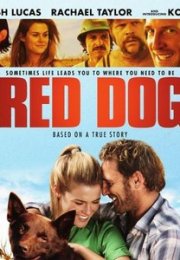 Red Dog-Seyret