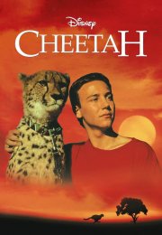 Cheetah-Seyret