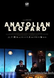 Anadolu Leoparı-Seyret