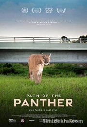 Path of the Panther -Seyret