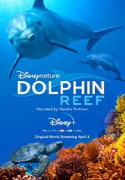 Dolphin Reef -Seyret