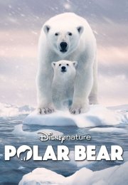 Polar Bear -Seyret