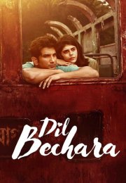 Dil Bechara -Seyret